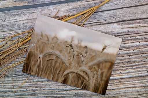 Carte Postale - BLE